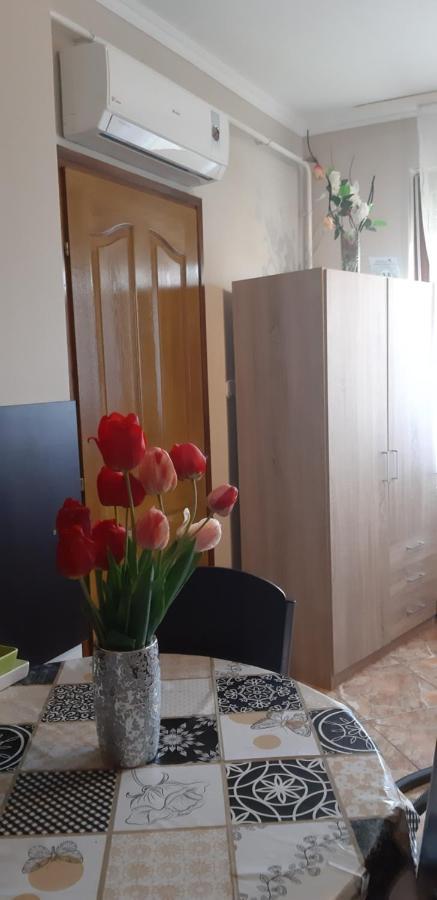 Flora Apartman Gyula Εξωτερικό φωτογραφία